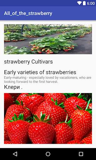 Play The of growing strawberries 