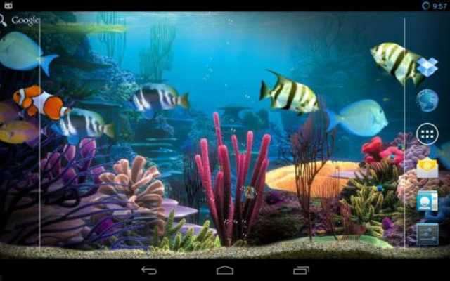 Play Tropical fishes aquarium 