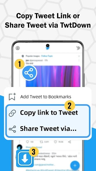 Play Video Downloader for Twitter 