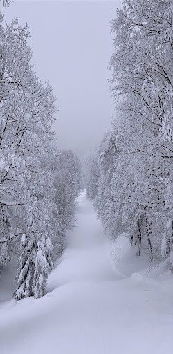 Play Winter HD Wallpapers 
