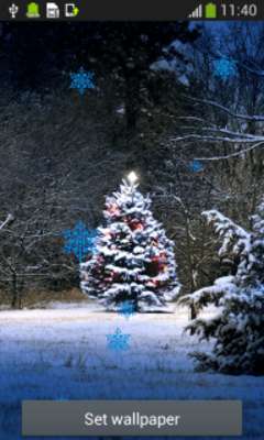 Play Xmas Tree Live Wallpapers Play Xmas Tree Live Wallpapers