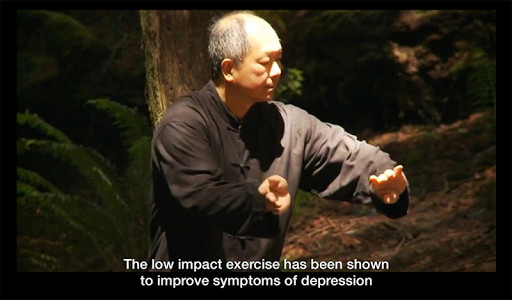 Play APK Yang Tai Chi for Beginners 1 by Dr. Yang and enjoy Yang Tai Chi for Beginners 1 by Dr. Yang with UptoPlay com.ymaa.taichibegin_1 Play APK Yang Tai Chi for Beginners 1 by Dr. Yang and enjoy Yang Tai Chi for Beginners 1 by Dr. Yang with UptoPlay com.ymaa.taichibegin_1