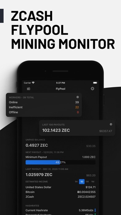 Play Zcash Flypool Mining Monitor 