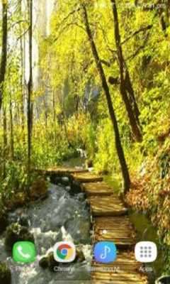 Play Yellow Forest Live Wallpaper 