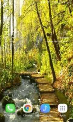 Play Yellow Forest Live Wallpaper 