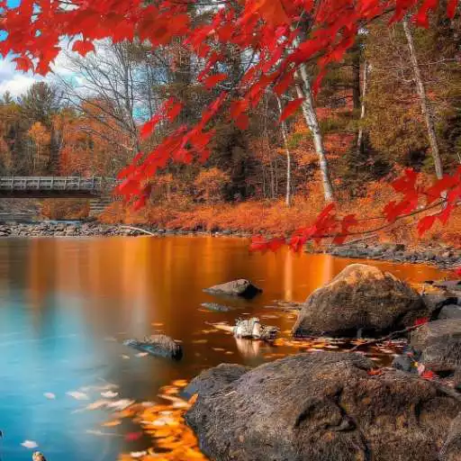 Play +100000 Autumn Wallpaper APK Play +100000 Autumn Wallpaper APK