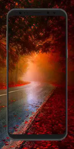 Play +100000 Autumn Wallpaper  and enjoy +100000 Autumn Wallpaper with UptoPlay