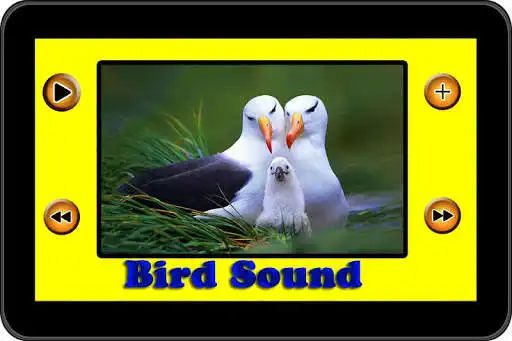 Play 1000+ Animal Sounds as an online game 1000+ Animal Sounds with UptoPlay