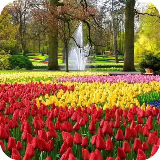 Play 1000+Garden HD Wallpaper APK