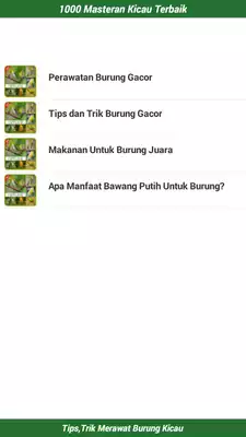 Play 1000 Master Kicau Burung Terbaik