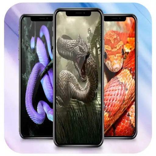 Play 1000 Snake Wallpaper HD 3D APK Play 1000 Snake Wallpaper HD 3D APK