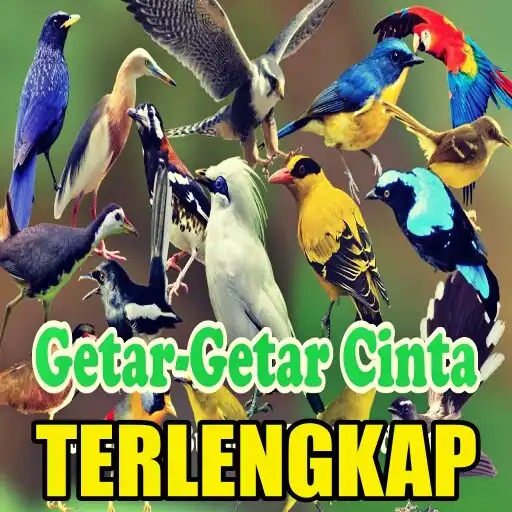 Play 1000+ Suara Kicau Burung MP3 APK