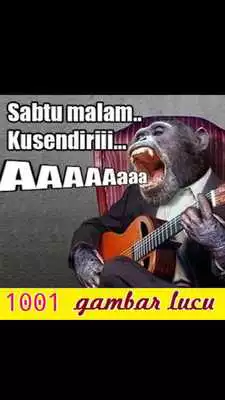Play 1001 Gambar Lucu