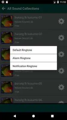 Play 1001 Kicau Lovebird Kusumo Mp3