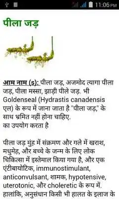 Play 1005 Ayurvedic tips