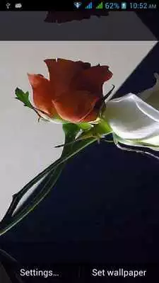 Play 1010 Flowers Live Wallpapers
