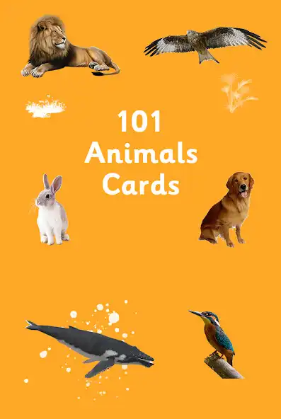 Play 101 Animals Cards  and enjoy 101 Animals Cards with UptoPlay