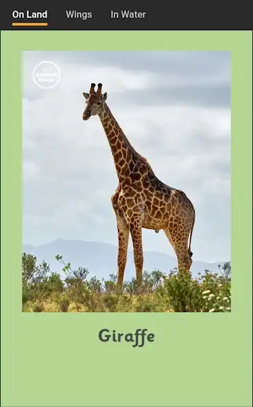 Play 101 Animals Cards as an online game 101 Animals Cards with UptoPlay