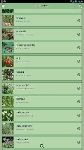 Play 101 Plante  and enjoy 101 Plante with UptoPlay