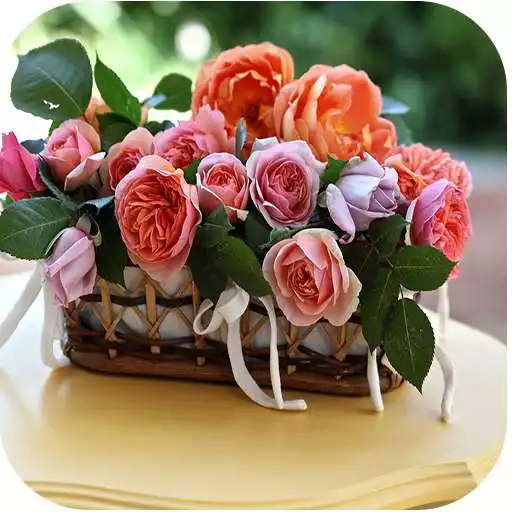 Free play online 1082 Flowers Live Wallpapers APK Free play online 1082 Flowers Live Wallpapers APK