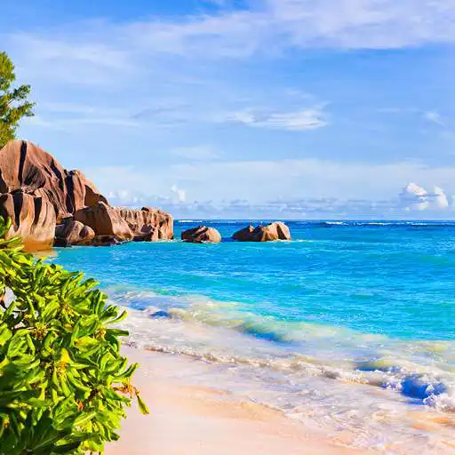 Play 1100 words of riddles. APK