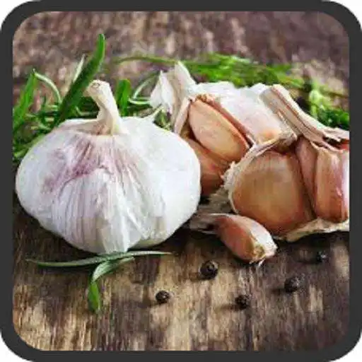 Play 11 Health Benefits of Garlic APK