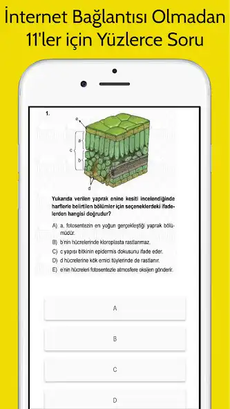 Play 11. Sınıf Tüm Ders İnternetsiz as an online game 11. Sınıf Tüm Ders İnternetsiz with UptoPlay