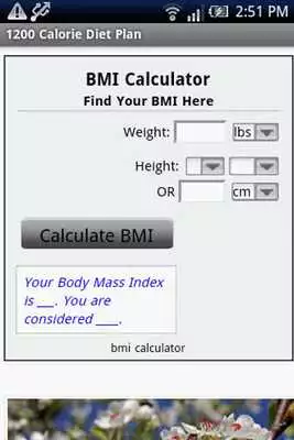 Play 1200 Calorie Diet Plan
