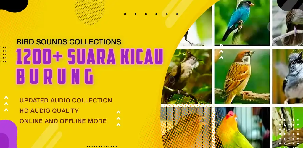 Play 1200+ Suara Kicau Burung MP3  and enjoy 1200+ Suara Kicau Burung MP3 with UptoPlay