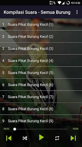 Play 1200+ Suara Kicau Burung MP3 as an online game 1200+ Suara Kicau Burung MP3 with UptoPlay