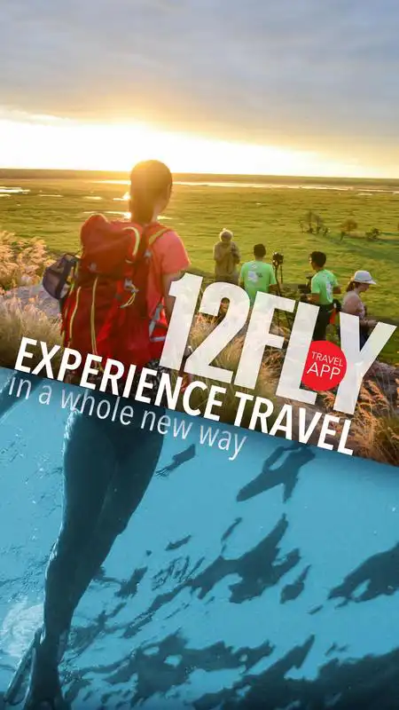 Play 12FLY