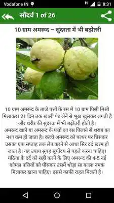 Play 1500+ Hindi Tips