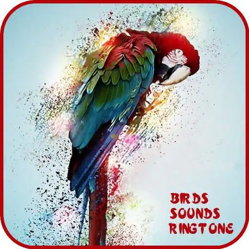 Run free android online 150+ Birds Sounds and Ringtone APK