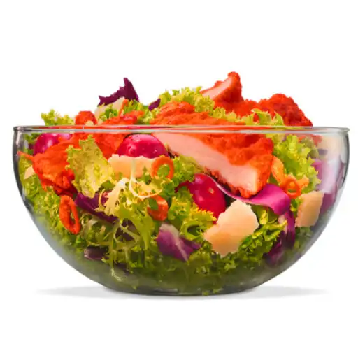 Play 15 recetas de ensalada gratis APK