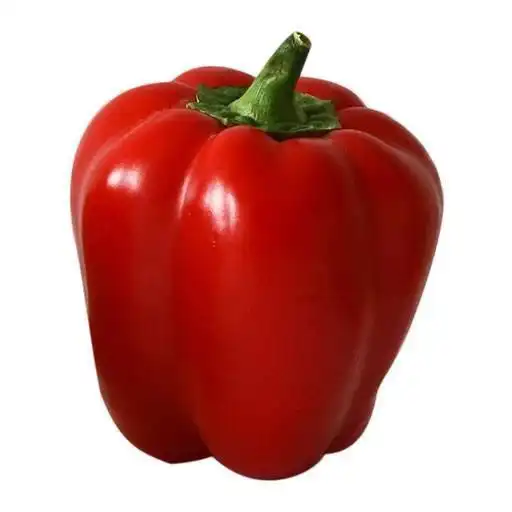 Play 15 Recipes With Paprika APK Play 15 Recipes With Paprika APK