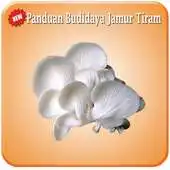 Free play online 16 Panduan Budidaya Jamur APK