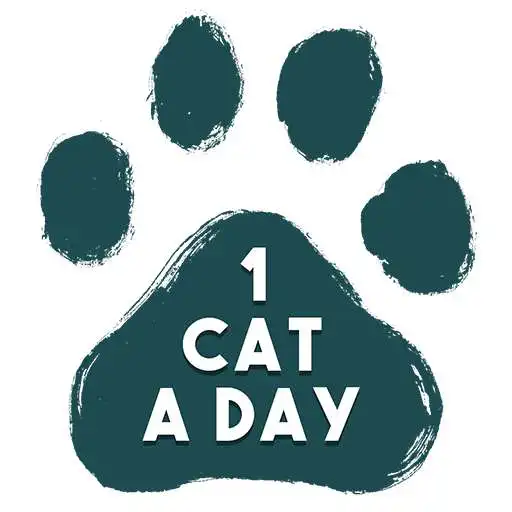 Play 1 Cat a Day APK