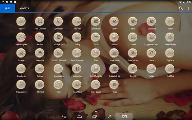 Play 1 Euros Icon Pack