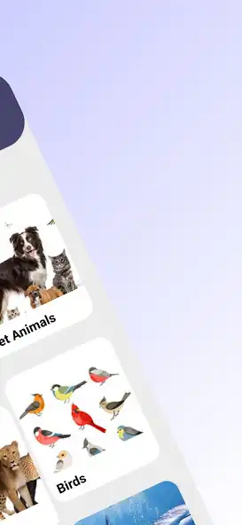 Play 200+ Animal Sounds  Names as an online game 200+ Animal Sounds  Names with UptoPlay