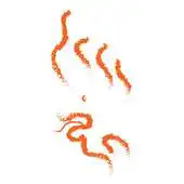 Free play online 2016 Greater Mekong Forum APK