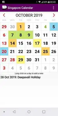 Play 2020 Singapore National Holidays