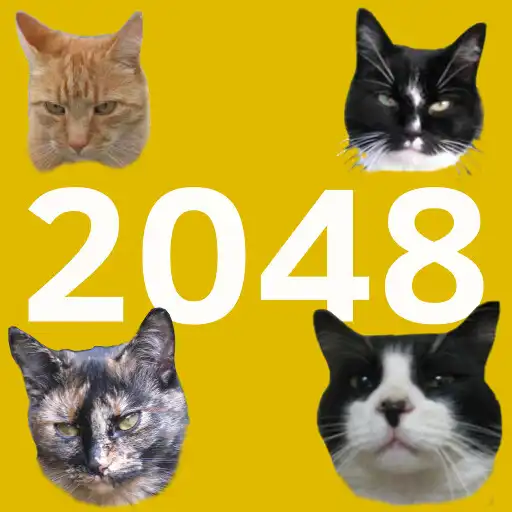 Play 2048 Cats APK Play 2048 Cats APK