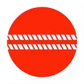 Free play online 20 Cricket APK