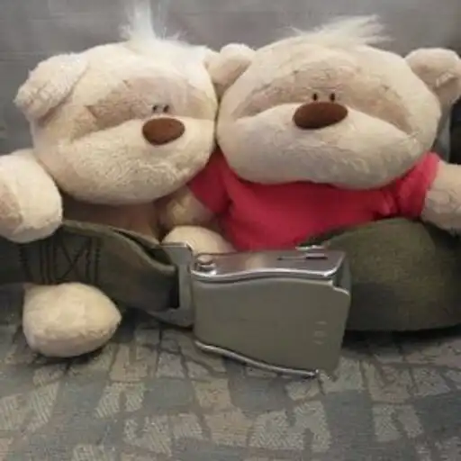 Play 2BearBear Travels APK