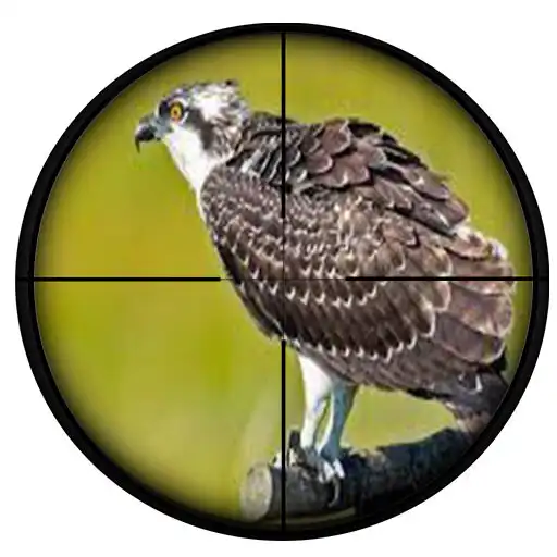 Play 2D Bird Shooting Game APK Play 2D Bird Shooting Game APK
