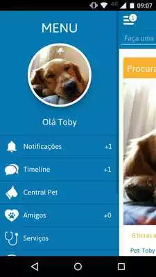 Play 2MYPET