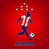 Free play online 2WaySports Junior Demo APK Free play online 2WaySports Junior Demo APK
