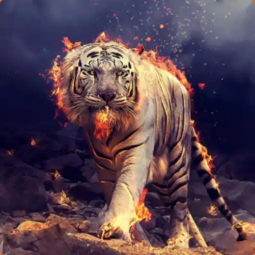 Play +30000 Fantasy Wallpaper APK