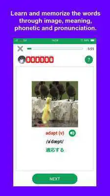 Play 3000 Essential English Vocabulary