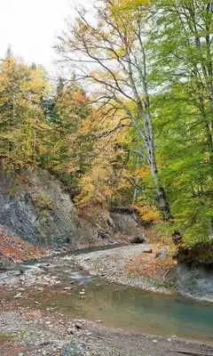 Play 300 HD Free Landscape Pictures